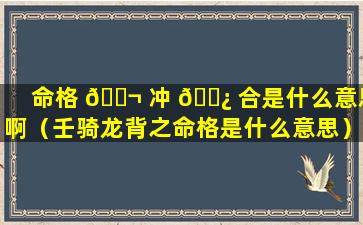 命格 🐬 冲 🌿 合是什么意思啊（壬骑龙背之命格是什么意思）